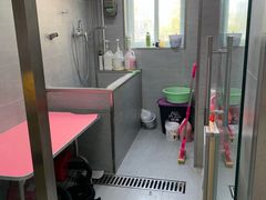 -宠福鑫康馨动物医院·骨科·眼科