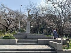 -武汉大学-樱园