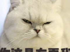 -迪士尼火鸡腿