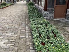 -嬉乐湾休闲旅游区