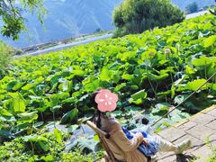-大理洱源西湖景区