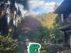 -明月山天沐温泉度假村