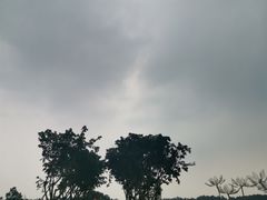 -空港花田景区