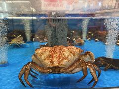 -盒马鲜生(红莲店)