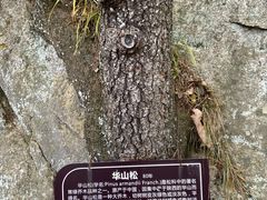 -老界岭旅游度假区