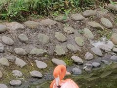 -广东茂名森林公园