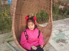 -小鱼草莓采摘园农家乐·小鱼餐厅