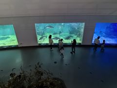 -上海长江河口科技馆
