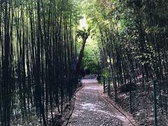 -四门塔风景区