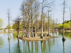 -贡湖湾湿地公园