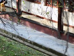 -昆明市金殿名胜区