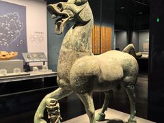 -广西壮族自治区博物馆