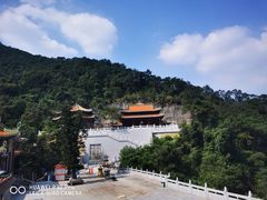 -南海湾森林生态园