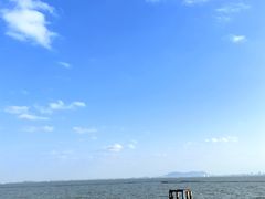 -贡湖湾湿地公园