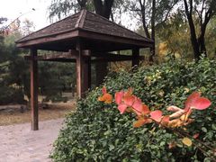 -东升八家郊野公园