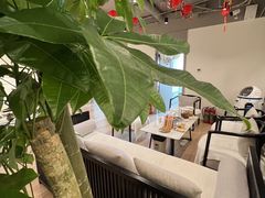 -席仁堂推拿按摩脊柱调理(世纪科贸大厦店)