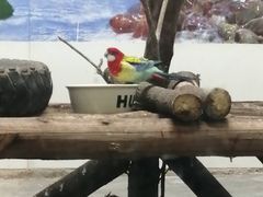 -西安秦岭野生动物园