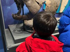 -国家自然博物馆