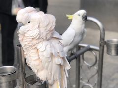 -四海楼(如皋定慧禅寺店)