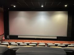 -首都电影院(金融街店 杜比全景声)