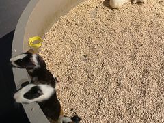 -常州海昌海洋探索馆