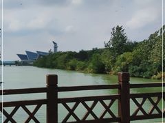 -盐城丹顶鹤湿地生态旅游区