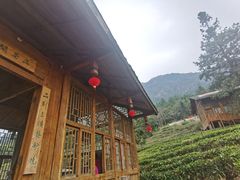 -姑婆山旅游区