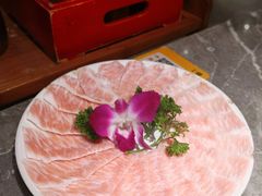 -禄婶鸡煲·打边炉