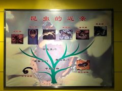 -上海昆虫博物馆
