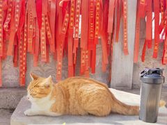 -终南山南五台景区