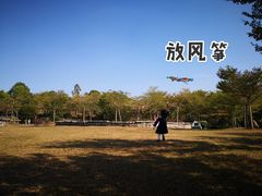 -聚龙山公园