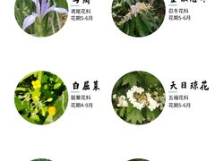 -悦藤爱托育早教中心(华凌公馆店)