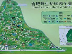 -合肥野生动物园