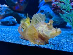 -上海海洋水族馆