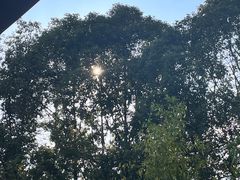 -往来·竹里.宝宝宴.生日宴.团建.宴席(花乡农居店)