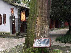 -武侯墓风景区