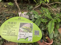 -广州神农草堂中医药博物馆
