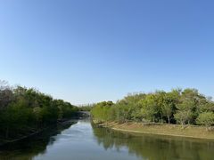 -上海海湾国家森林公园