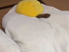 -Win Win电玩·日式の游戏馆