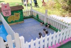 -萌宠亲子动物乐园(槐房万达店)