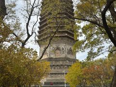 -玲珑塔公园