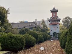 -四川大学(华西校区)