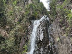 -姑婆山旅游区