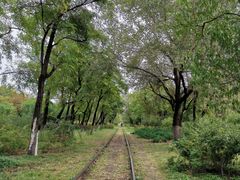 -永定河休闲森林公园