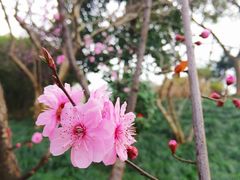 -复旦大学（邯郸校区）南区餐厅