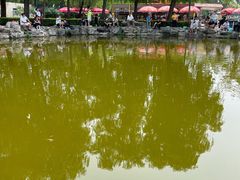 -朝阳公园游乐园