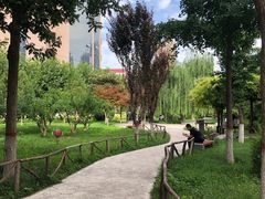 -西北大学(桃园校区)