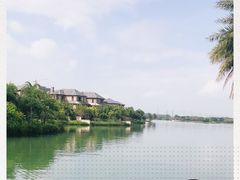 -迪茵湖田家舍生态农场