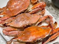 -山东八大碗山东老字号