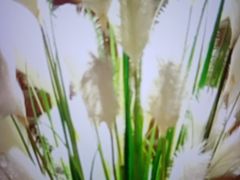 -嘻游纪亲子游泳中心(天佑城店)